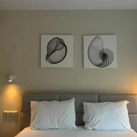 Apartment Olenia Luxury Neos Marmaras